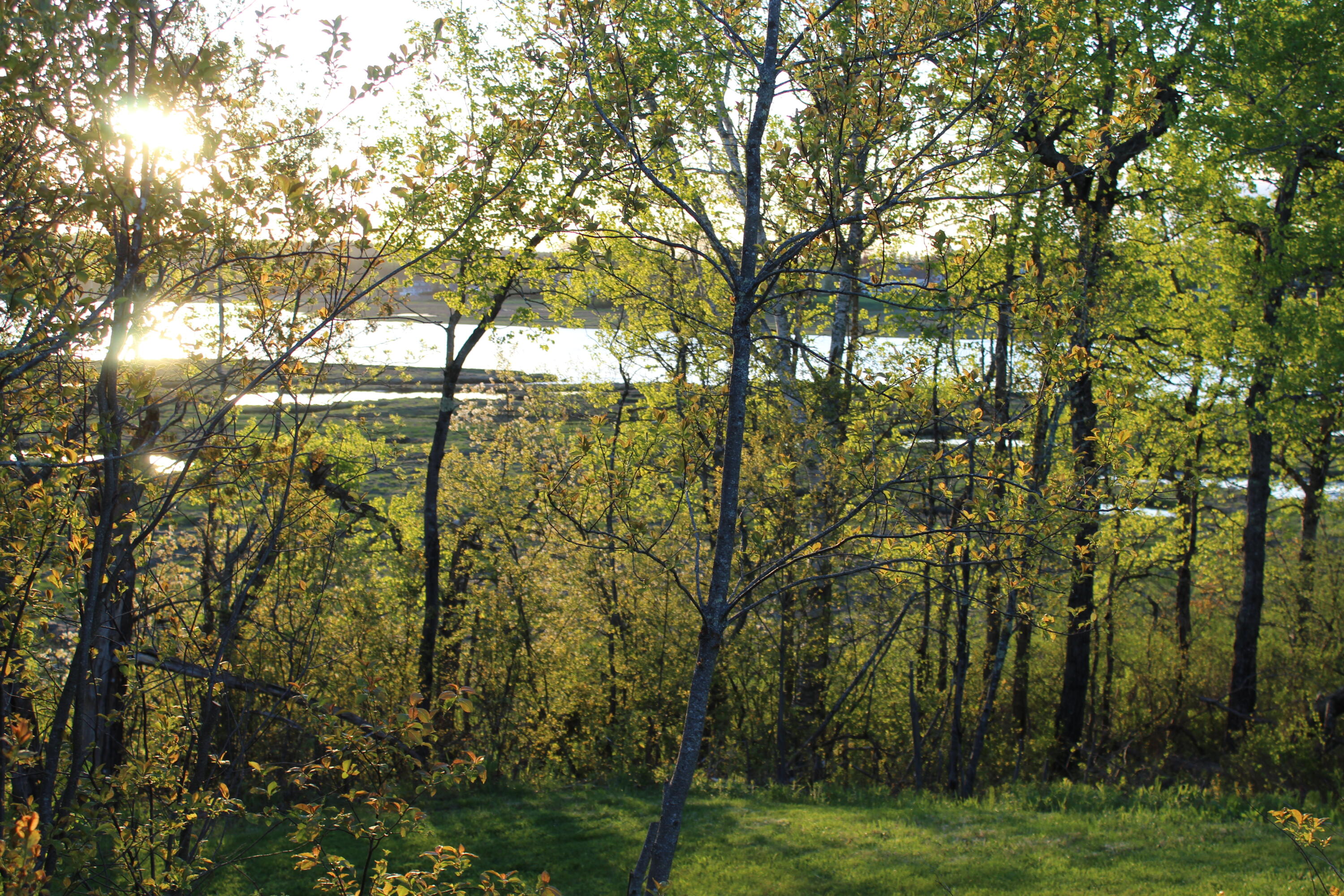 1 East Side Road Addison, ME 04606 - Photo 25 of 38 IMG_0286