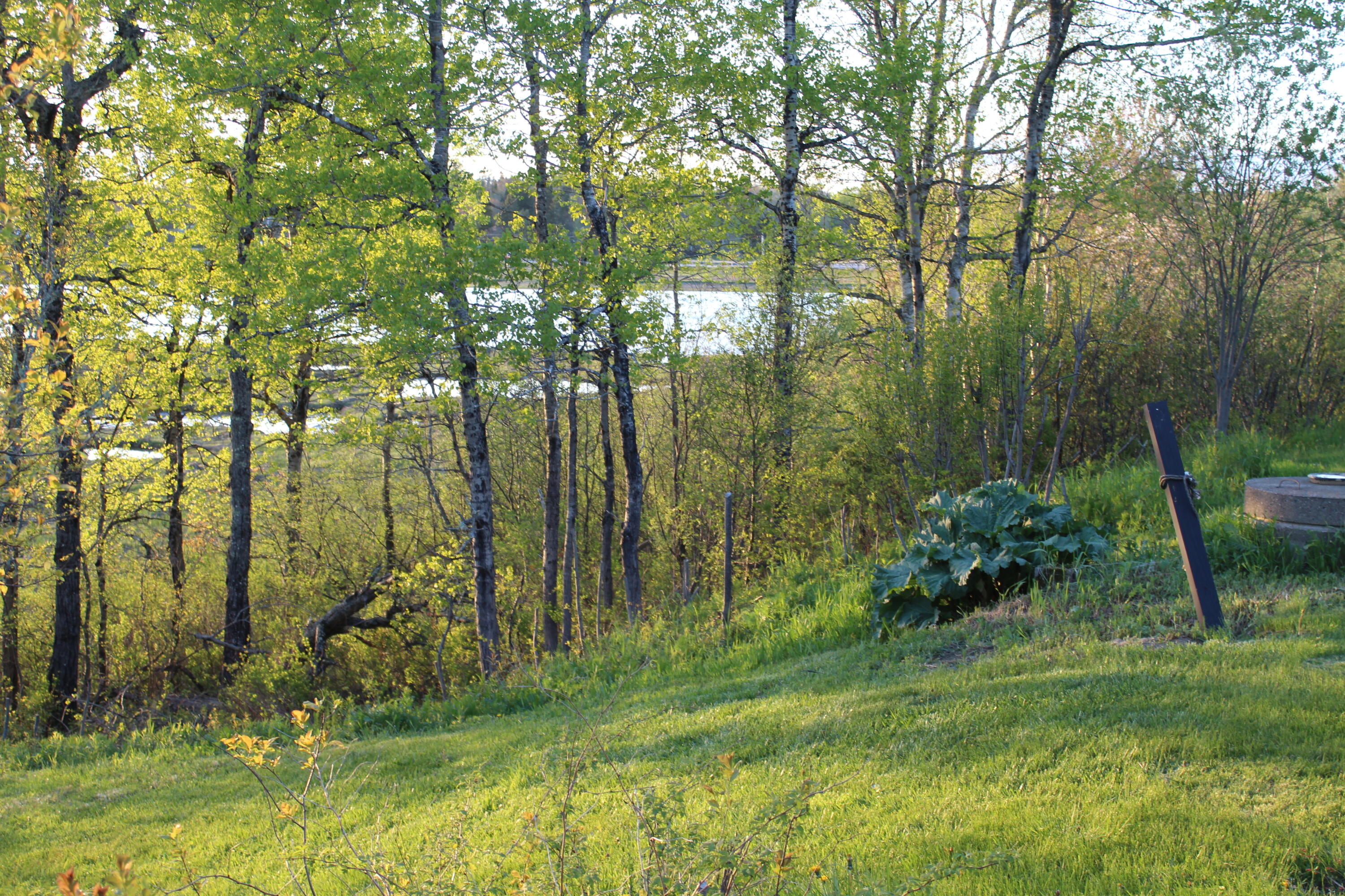 1 East Side Road Addison, ME 04606 - Photo 26 of 38 IMG_0287