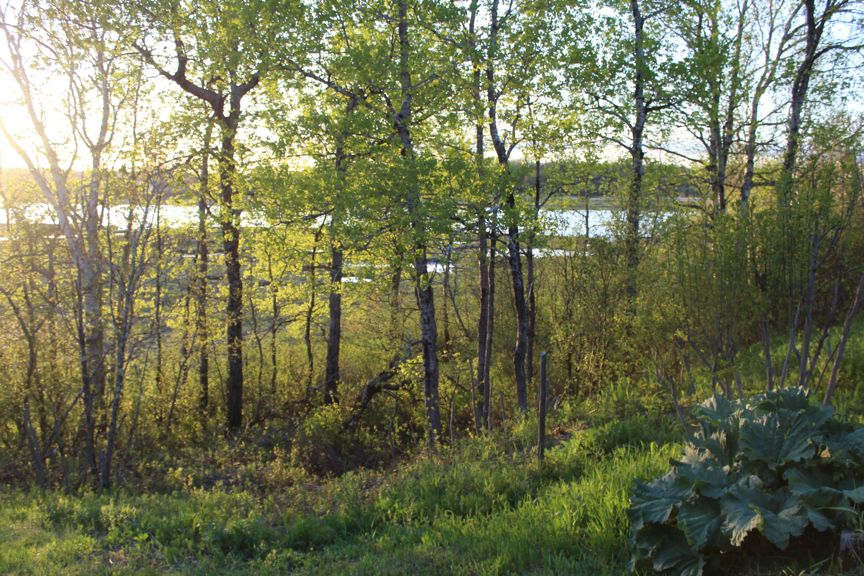 1 East Side Road Addison, ME 04606 - Photo 27 of 38 IMG_0289