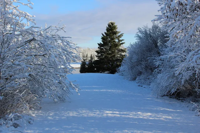 $359,900 | 1 East Side Road, Addison, ME 04606