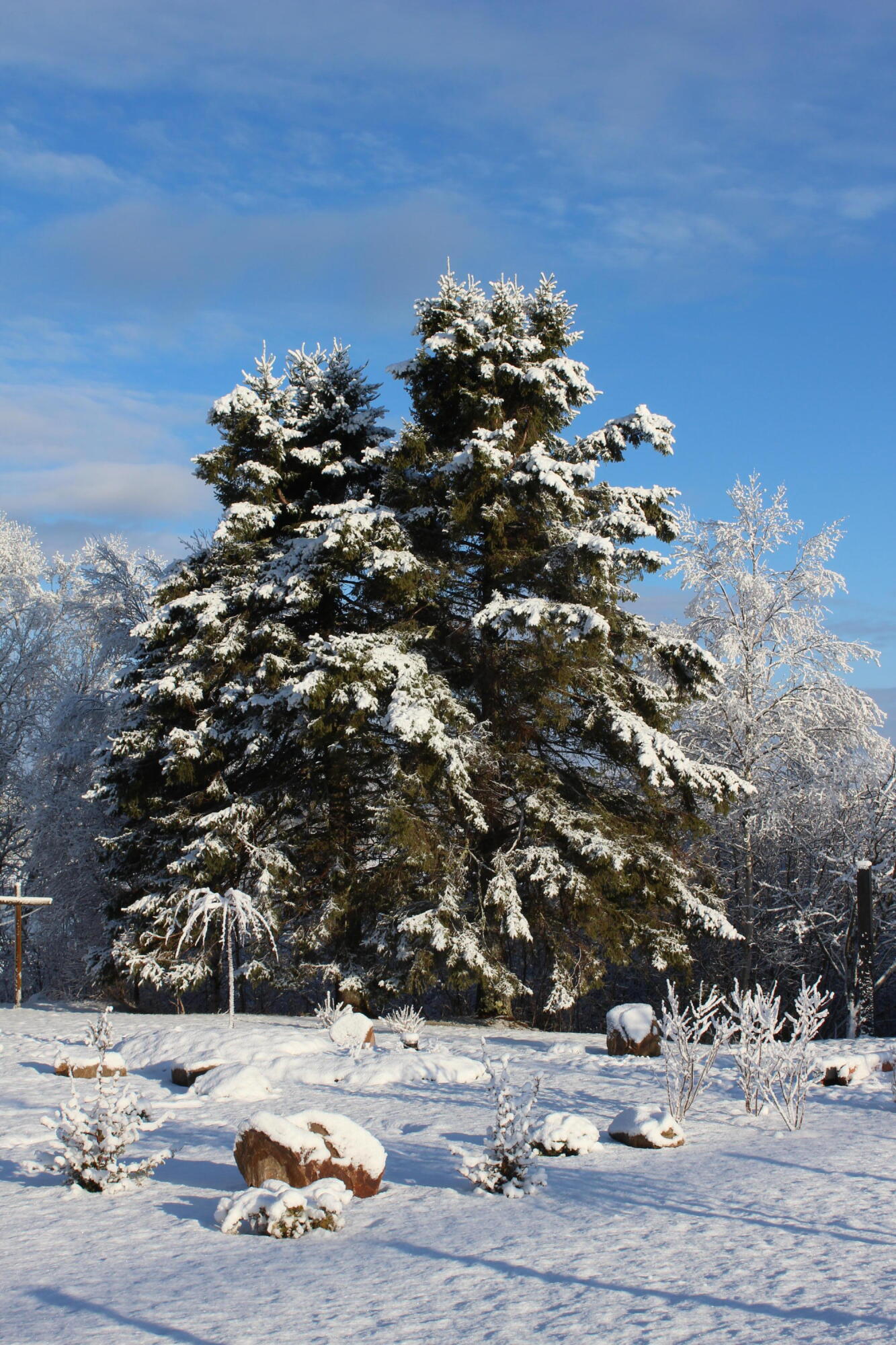 1 East Side Road Addison, ME 04606 - Photo 29 of 38 IMG_0242