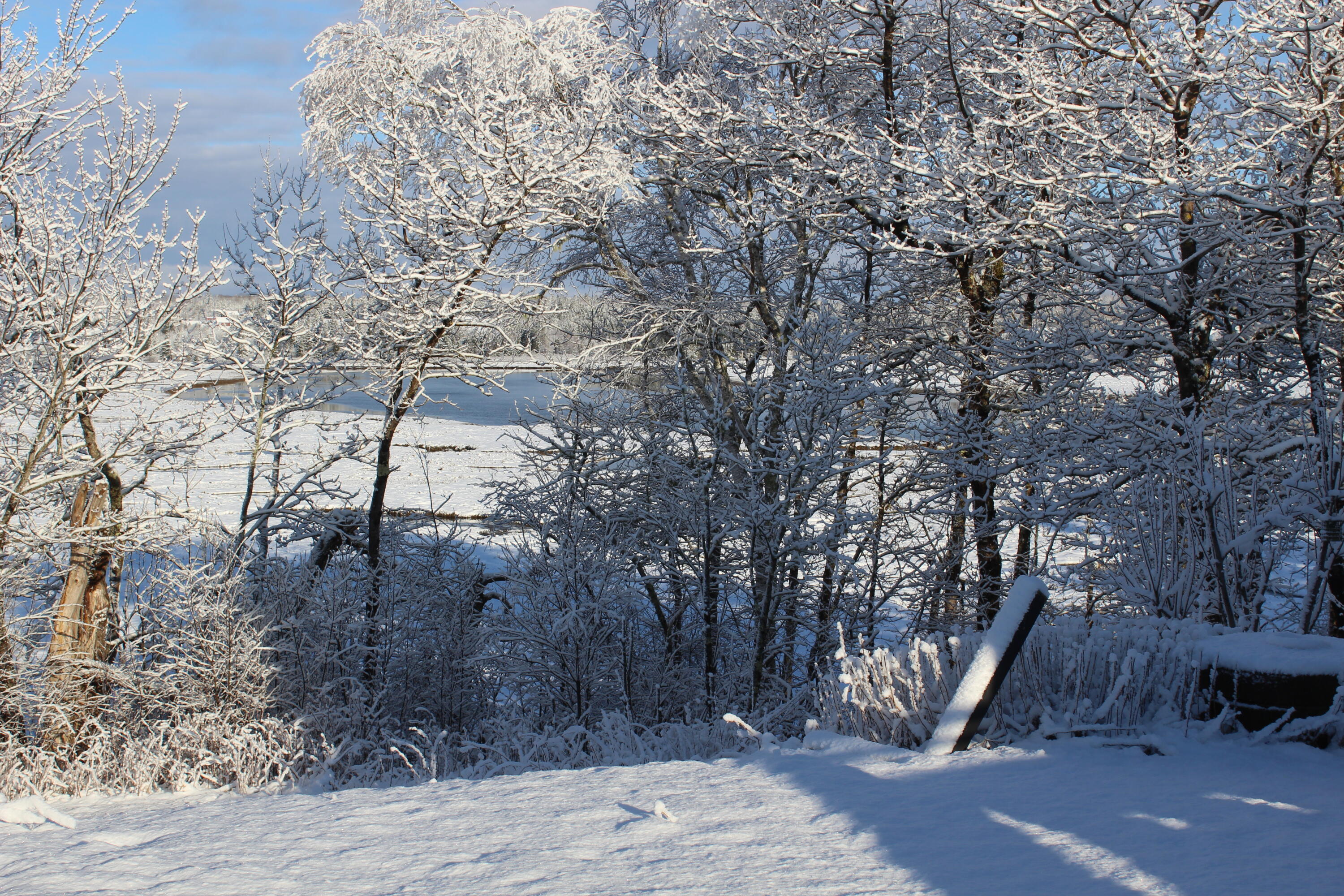 1 East Side Road Addison, ME 04606 - Photo 30 of 38 IMG_0249