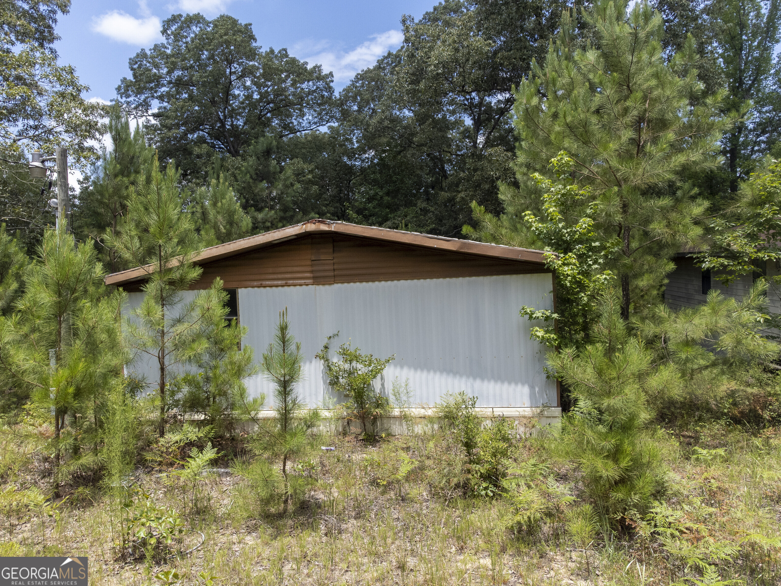 456 Horseshoe Circle Macon, GA 31217 - Photo 11 of 34 a backyard of a house with lots of green space