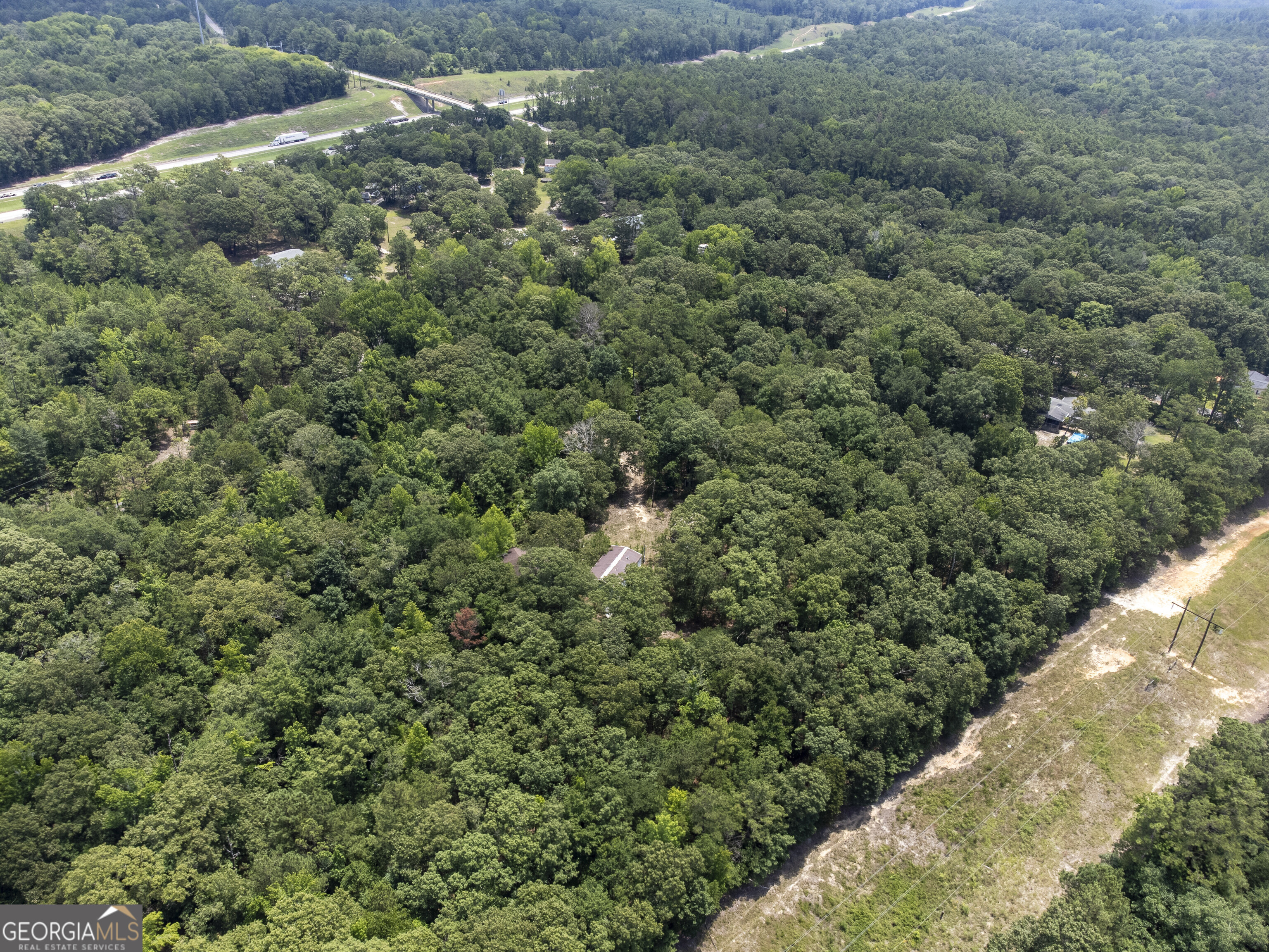 456 Horseshoe Circle Macon, GA 31217 - Photo 22 of 34 a view of a forest with a street