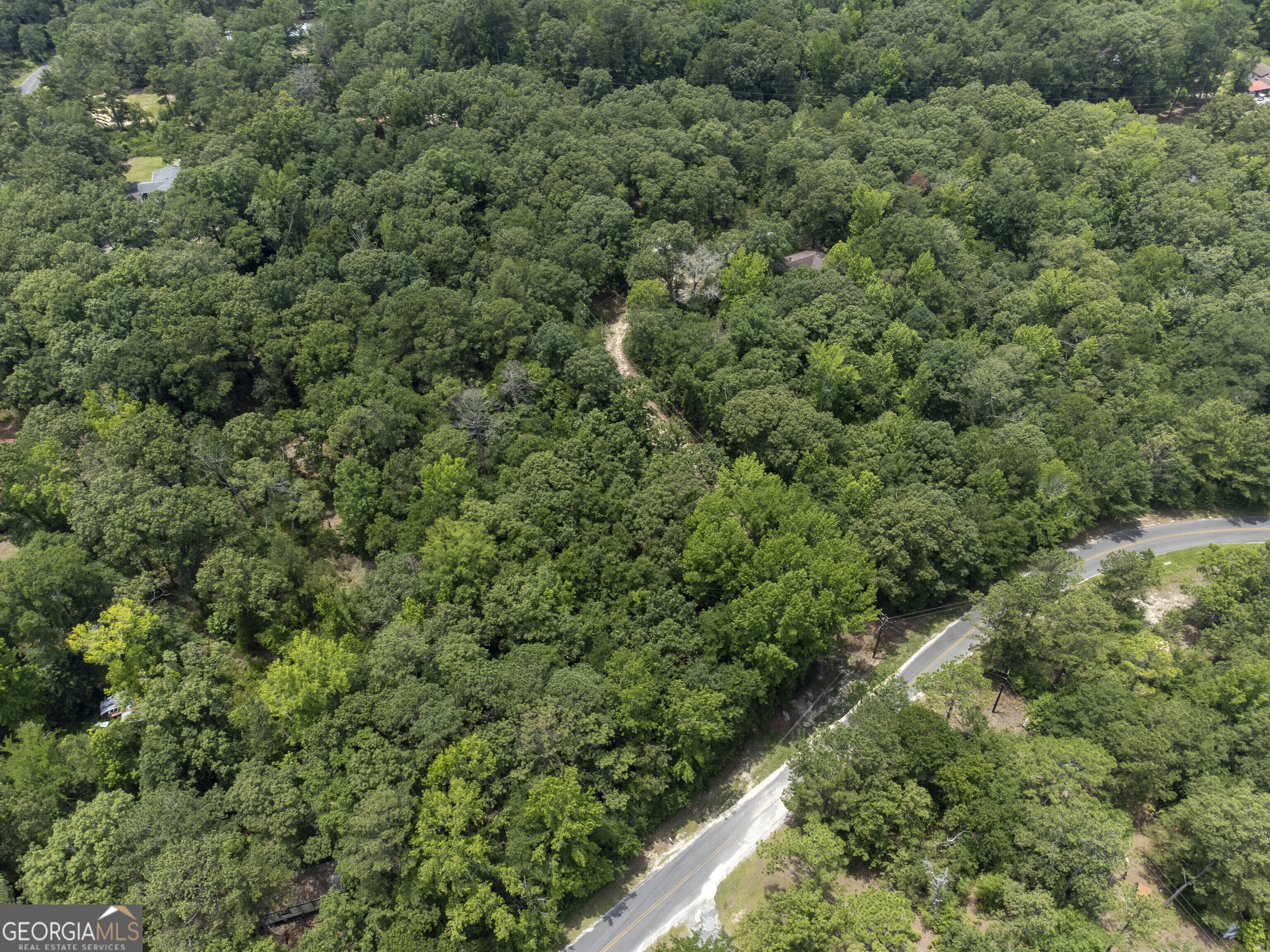 456 Horseshoe Circle Macon, GA 31217 - Photo 23 of 34 an aerial view of a house with a lush green forest