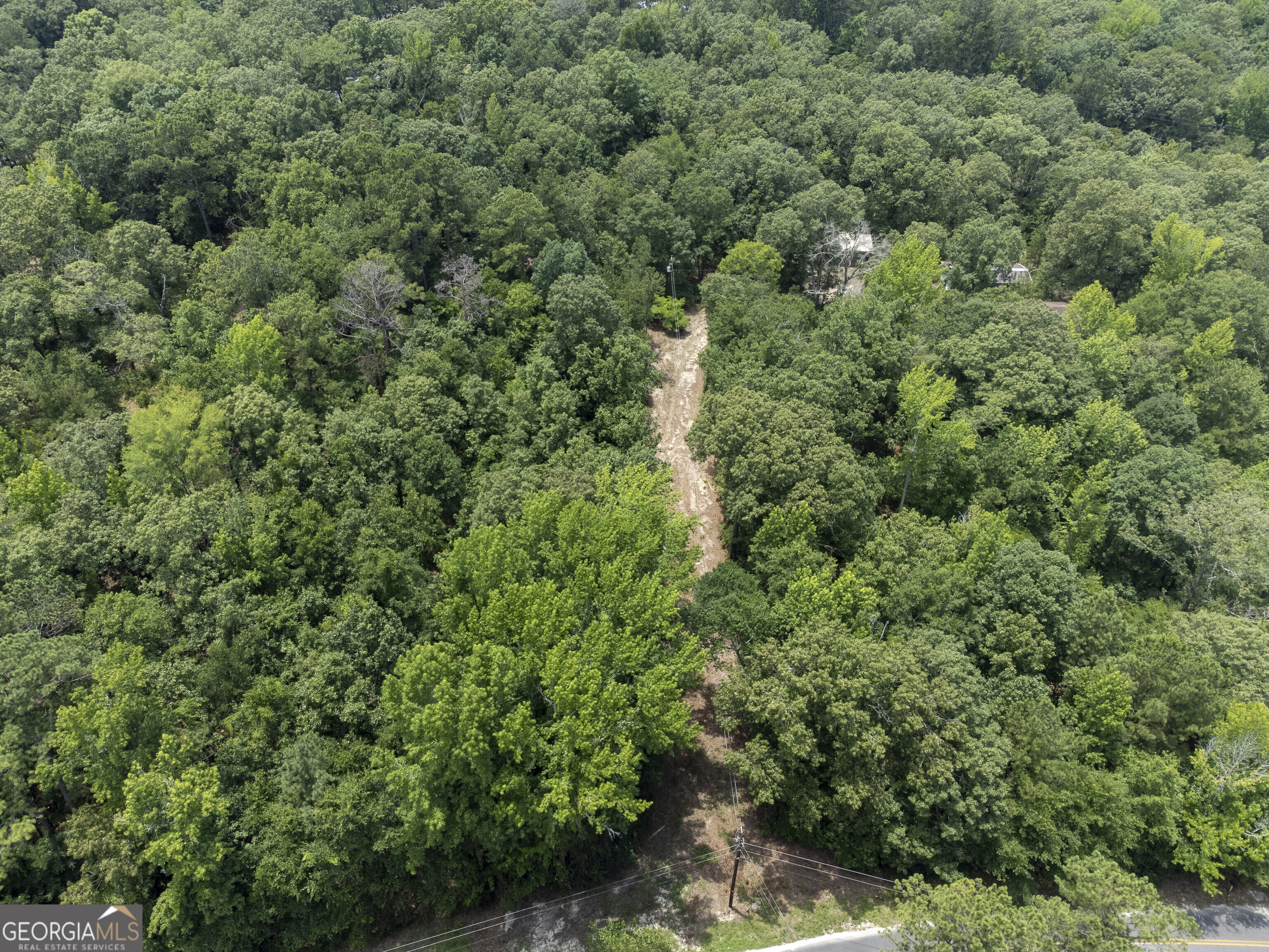 456 Horseshoe Circle Macon, GA 31217 - Photo 24 of 34 an aerial view of a house with a yard