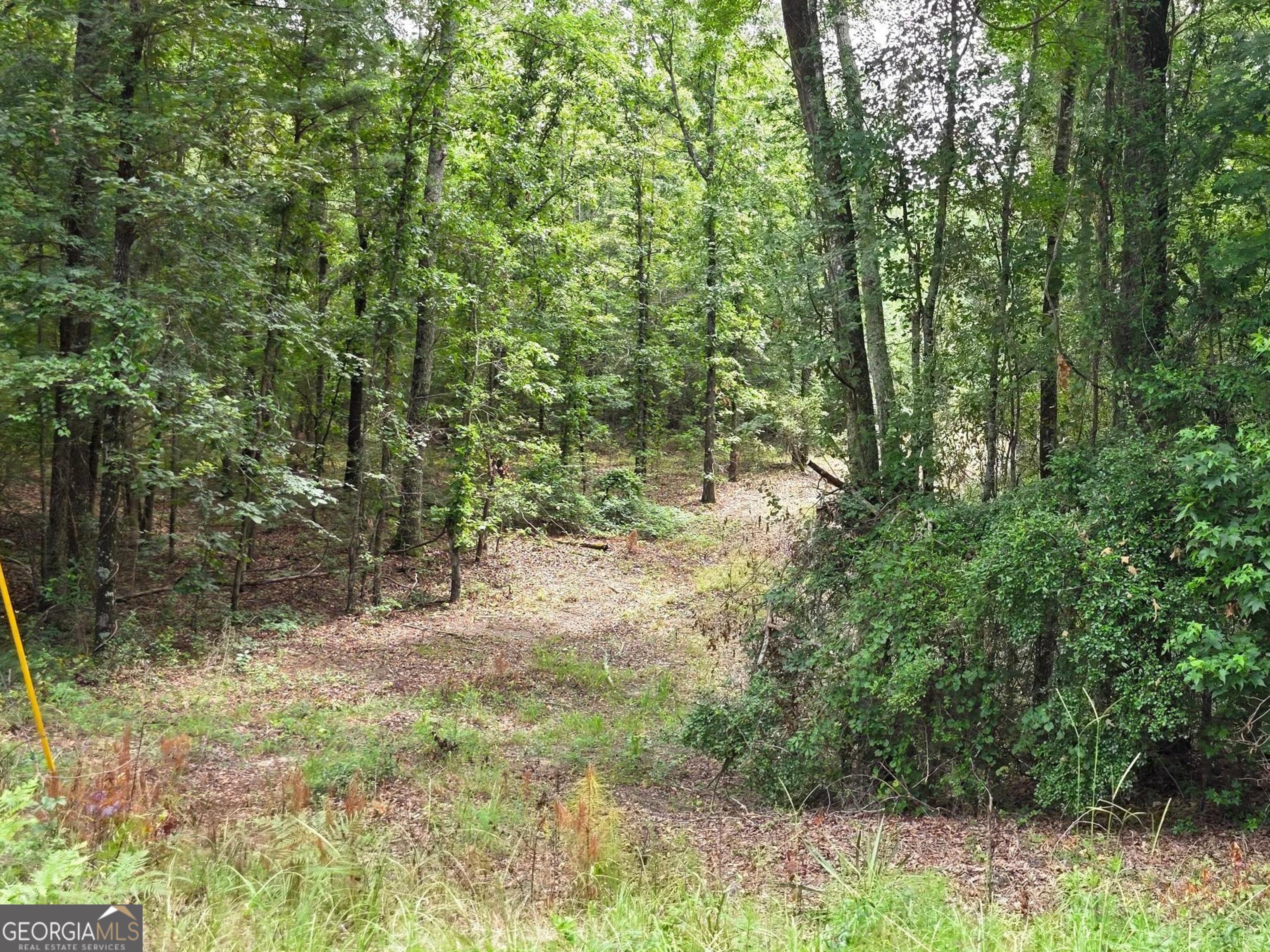 456 Horseshoe Circle Macon, GA 31217 - Photo 27 of 34 a view of a yard with a tree