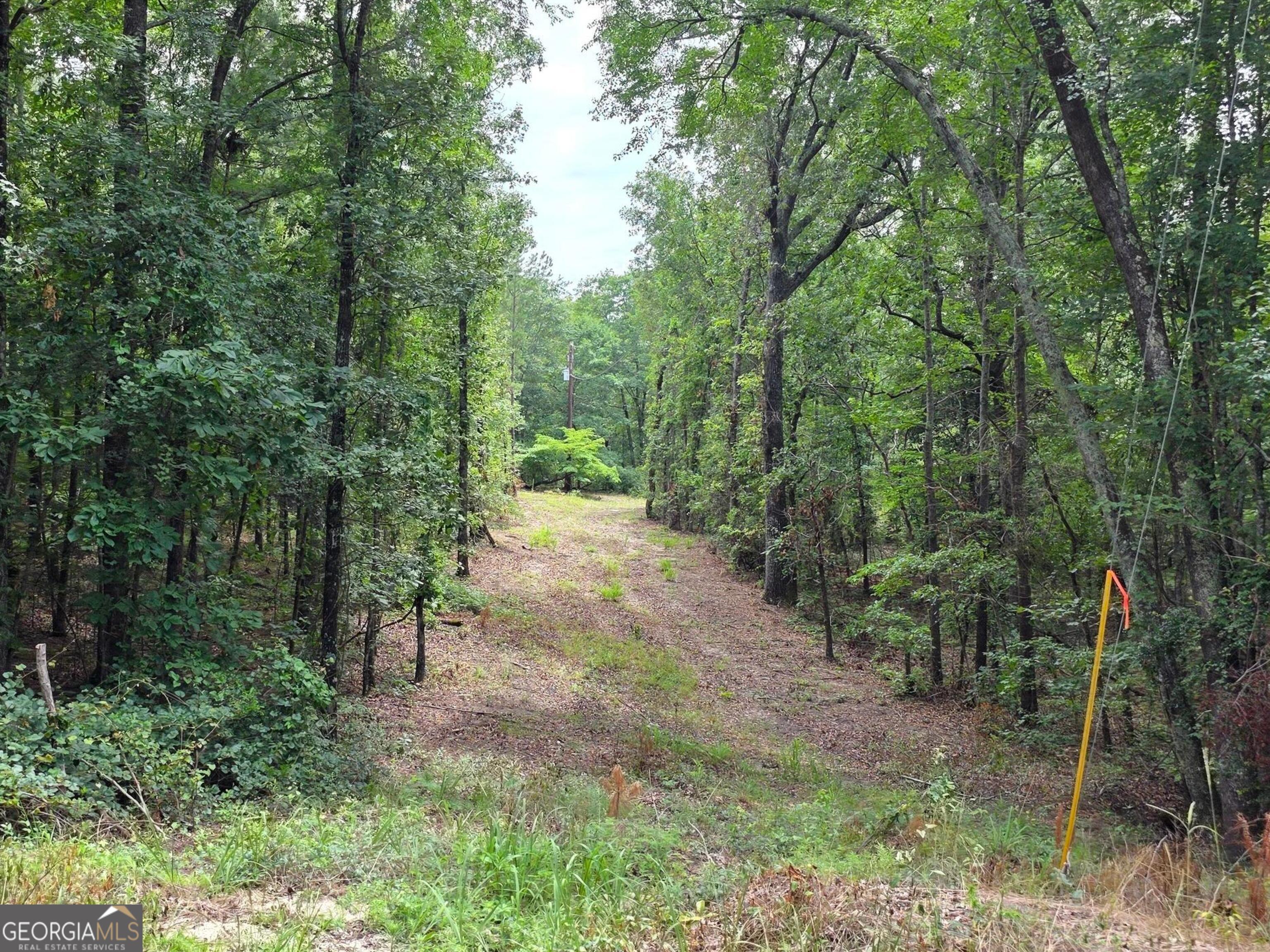 456 Horseshoe Circle Macon, GA 31217 - Photo 6 of 34 a view of a forest with trees