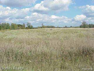 Parcel A Parcel A Bailey Road Marlette, MI 48453 - Photo 1 of 1 Property Photo