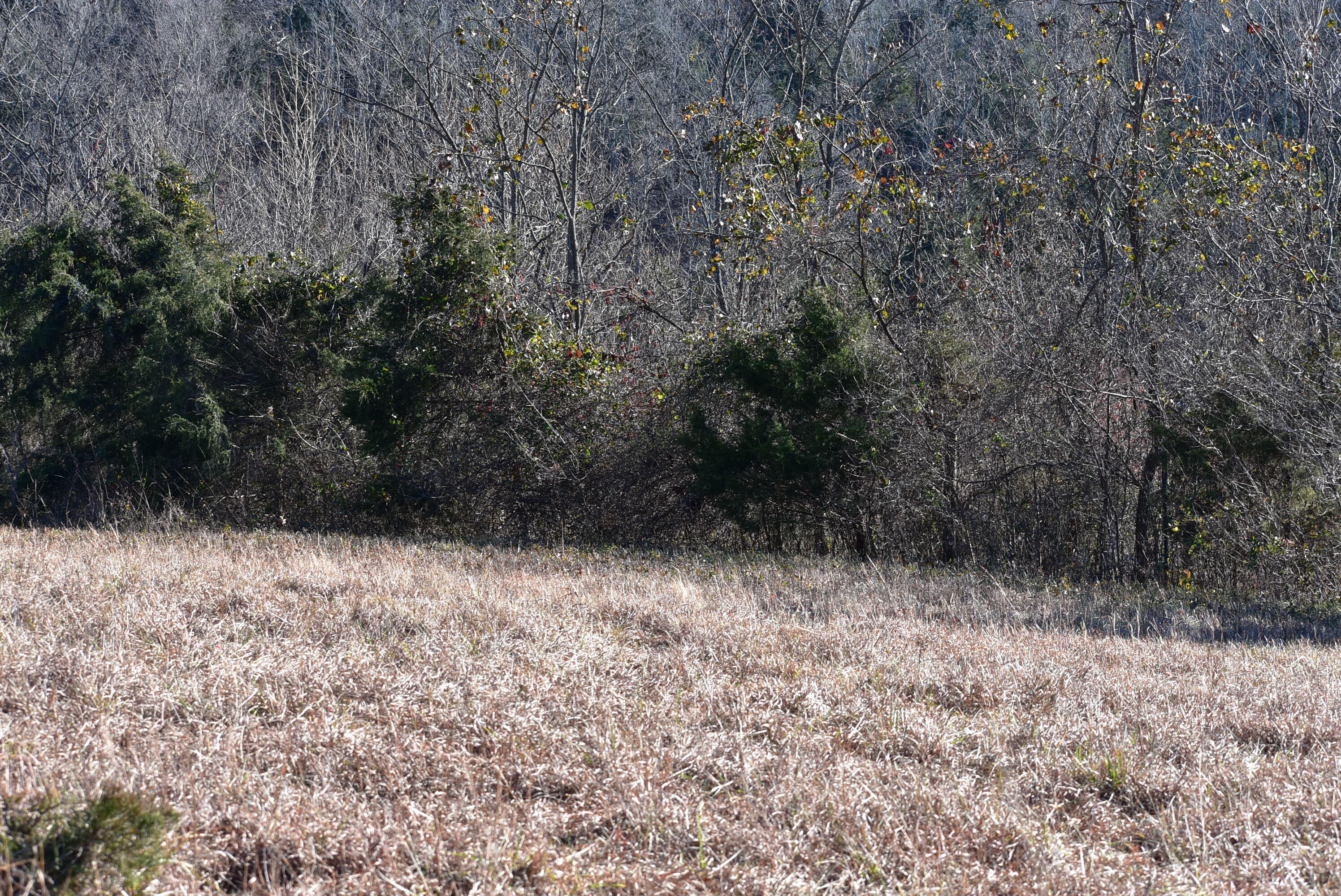 1063 Brock Road Paint Lick, KY 40461 - Photo 11 of 31 4