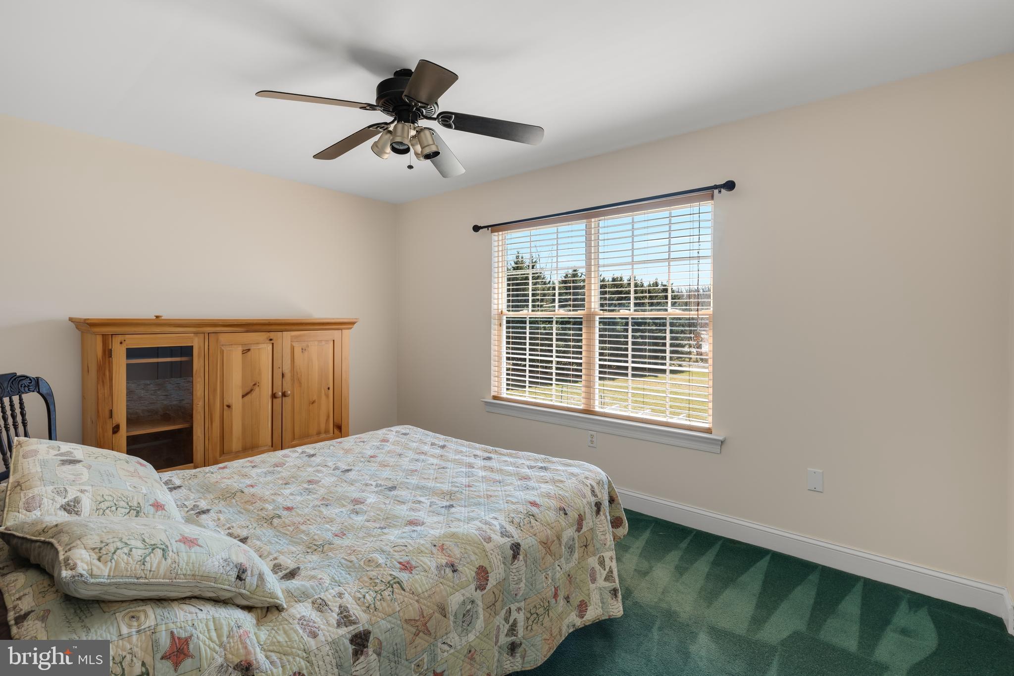 101 Ruth Drive Middletown, DE 19709 - Photo 23 of 78 Guest Bedroom