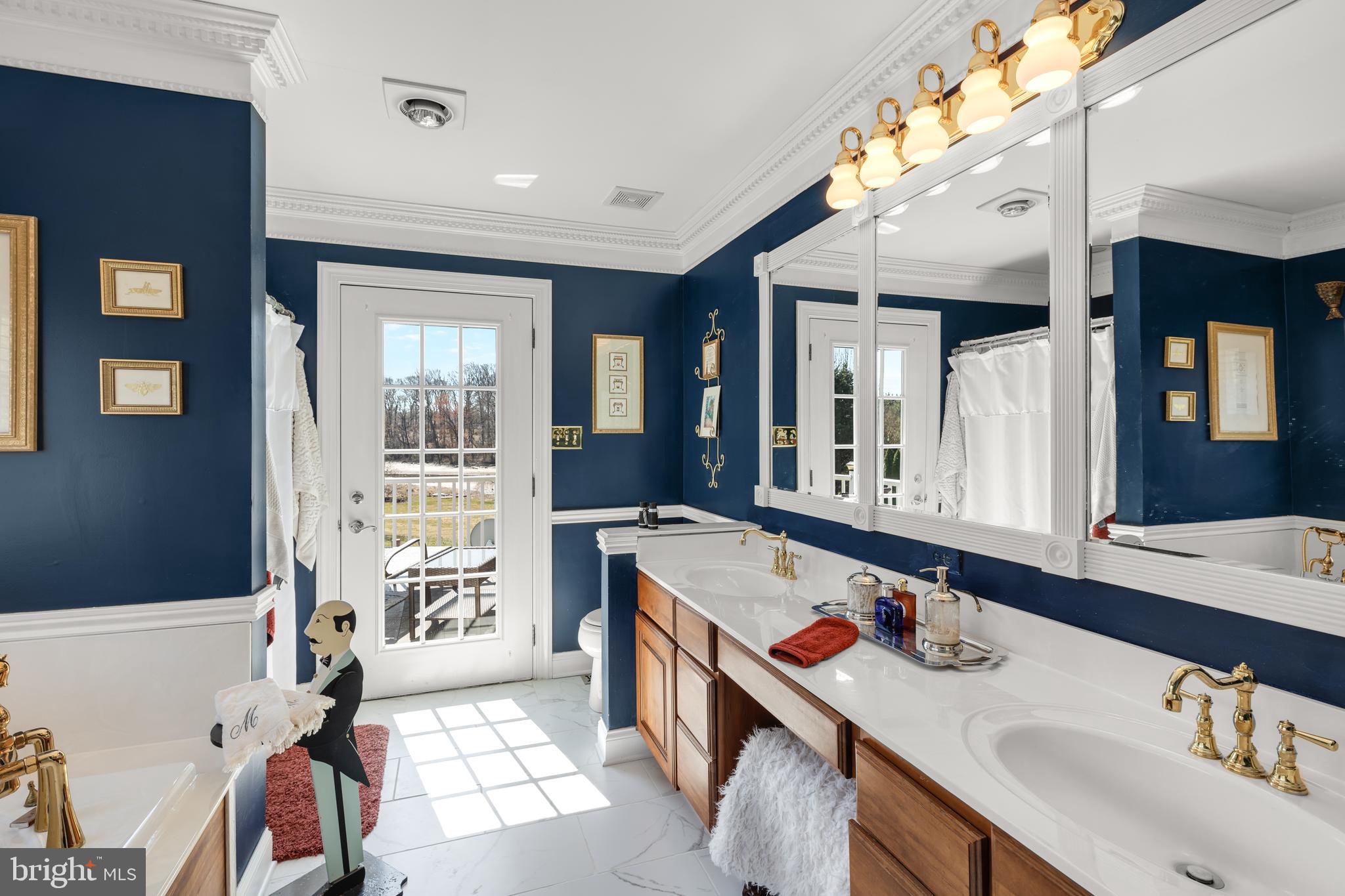 101 Ruth Drive Middletown, DE 19709 - Photo 30 of 78 Luxurious Master bath with open Balcony