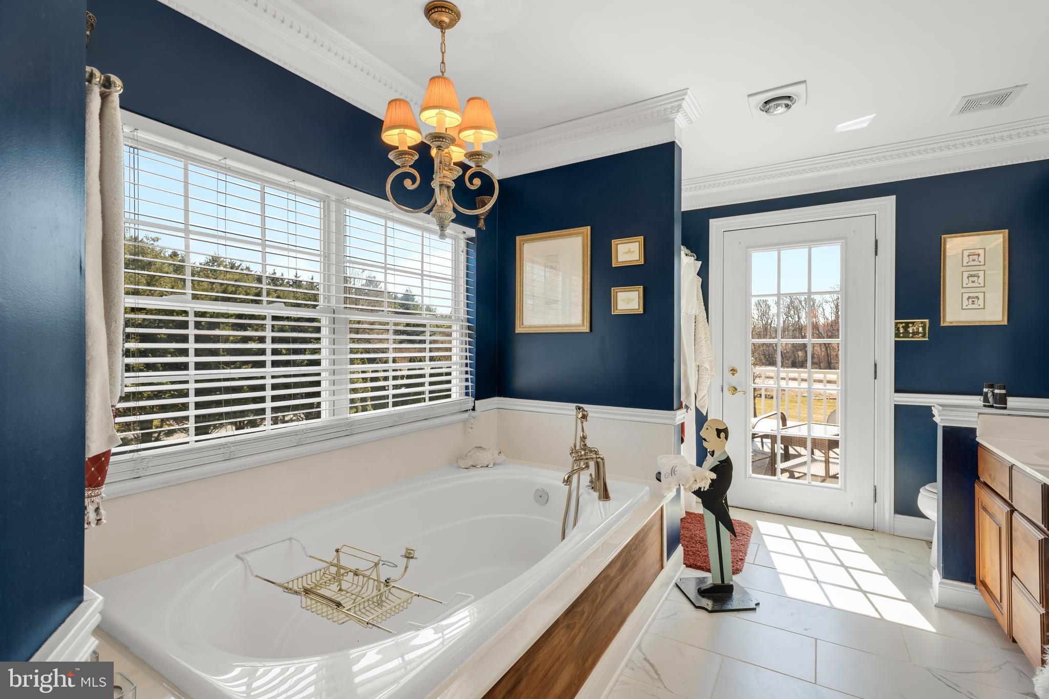 101 Ruth Drive Middletown, DE 19709 - Photo 31 of 78 Luxurious Master bath w/ Soaking tub
