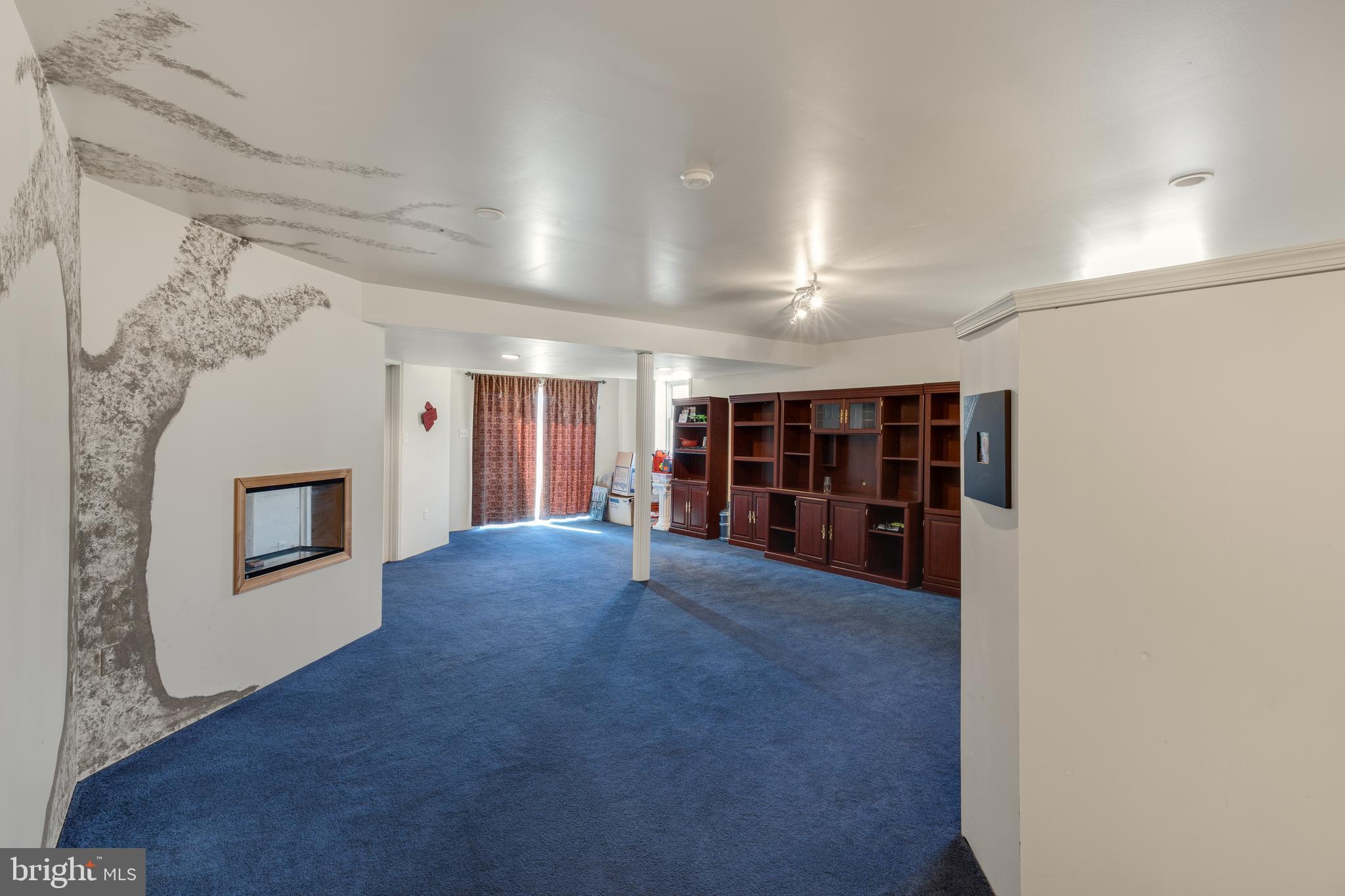 101 Ruth Drive Middletown, DE 19709 - Photo 33 of 78 Lower level Play Room