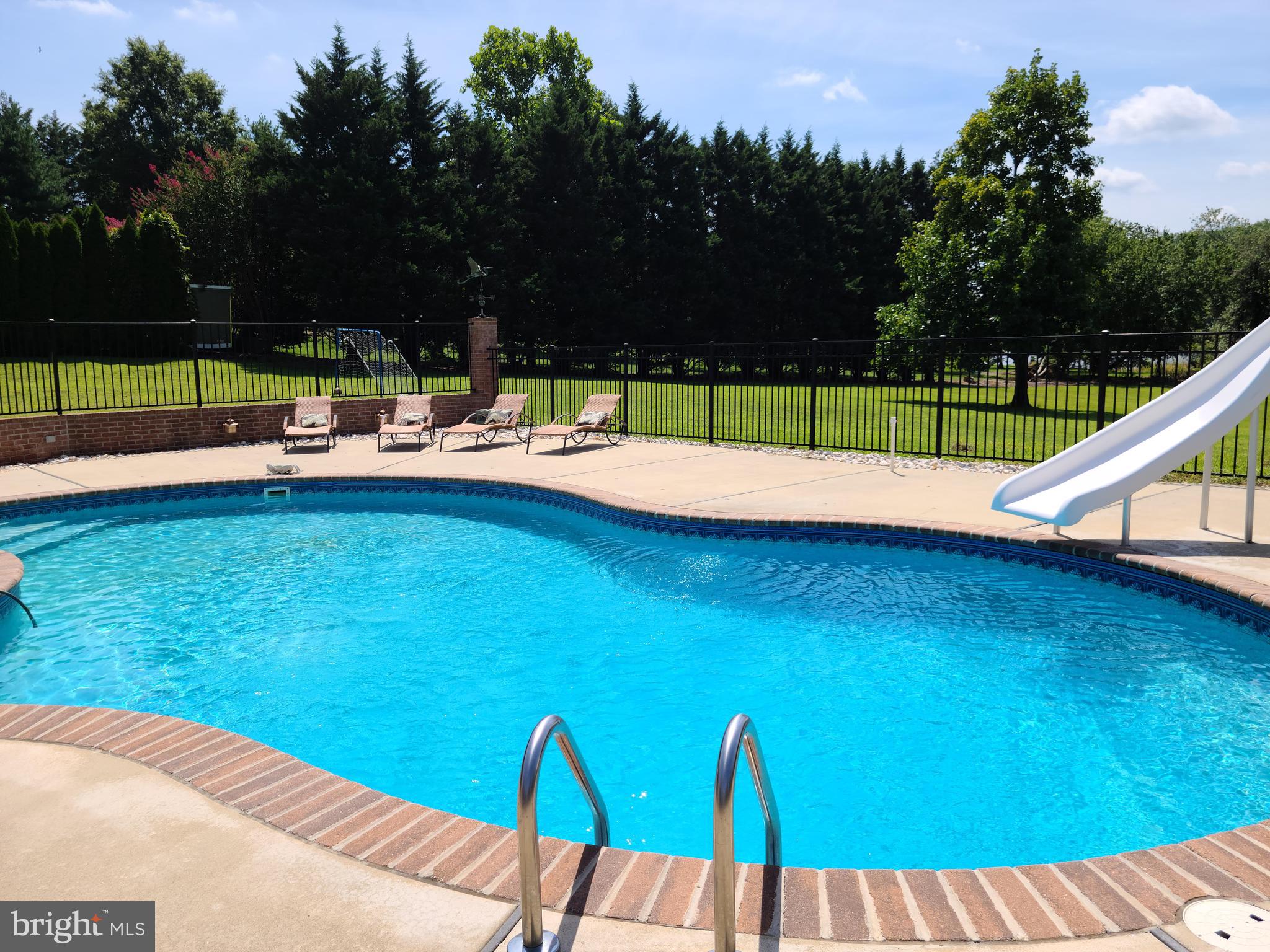 101 Ruth Drive Middletown, DE 19709 - Photo 76 of 78 Pics before we closed the pool in 2020