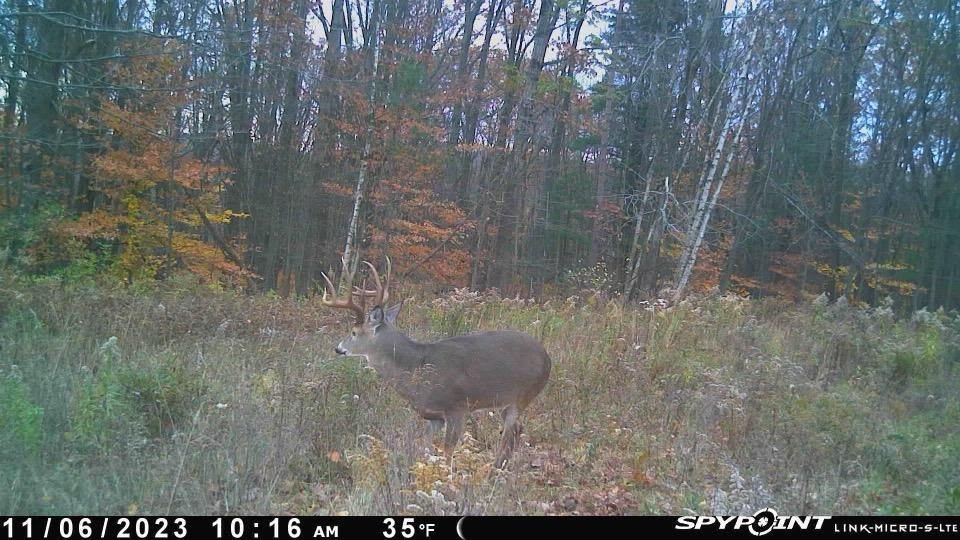 Bunnell Road Waverly, NY 14892 - Photo 14 of 49 Gallery Image 14