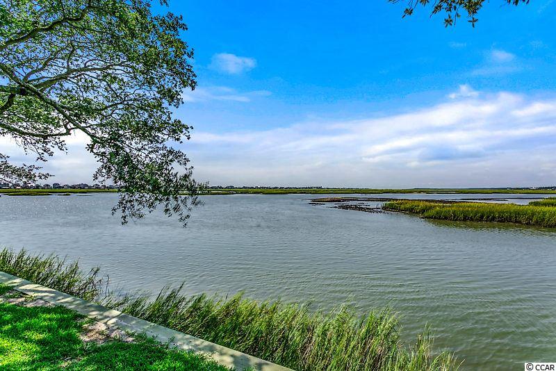 887 Kittiwake Lane Murrells Inlet, SC 29576 - Photo 11 of 35