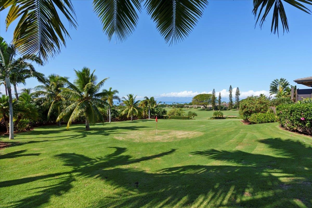 24 Anapuni Loop, Unit 2 Lahaina, HI 96761 - Photo 46 of 50 a view of a yard and front of palm trees