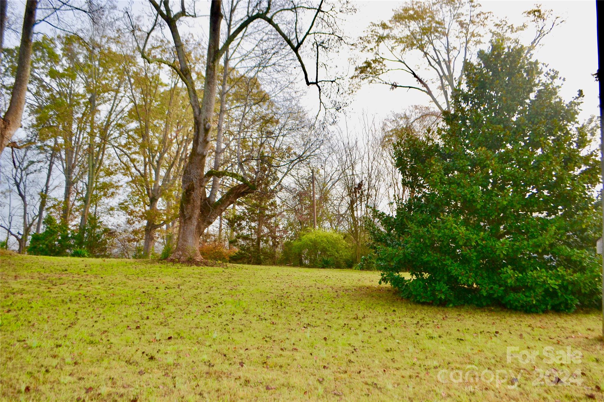 4298 Hudlow Road Rutherfordton, NC 28139 - Photo 32 of 38 a view of yard with green space