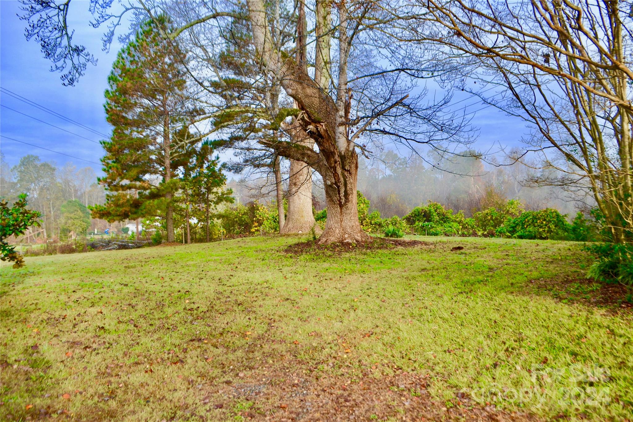 4298 Hudlow Road Rutherfordton, NC 28139 - Photo 33 of 38 a view of an outdoor space and a yard