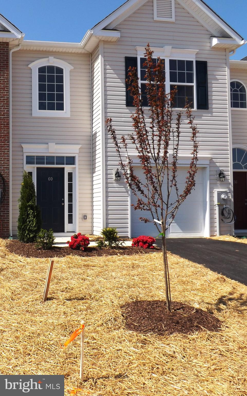 60 Chennault Trail Falling Waters, WV 25419 - Photo 1 of 17