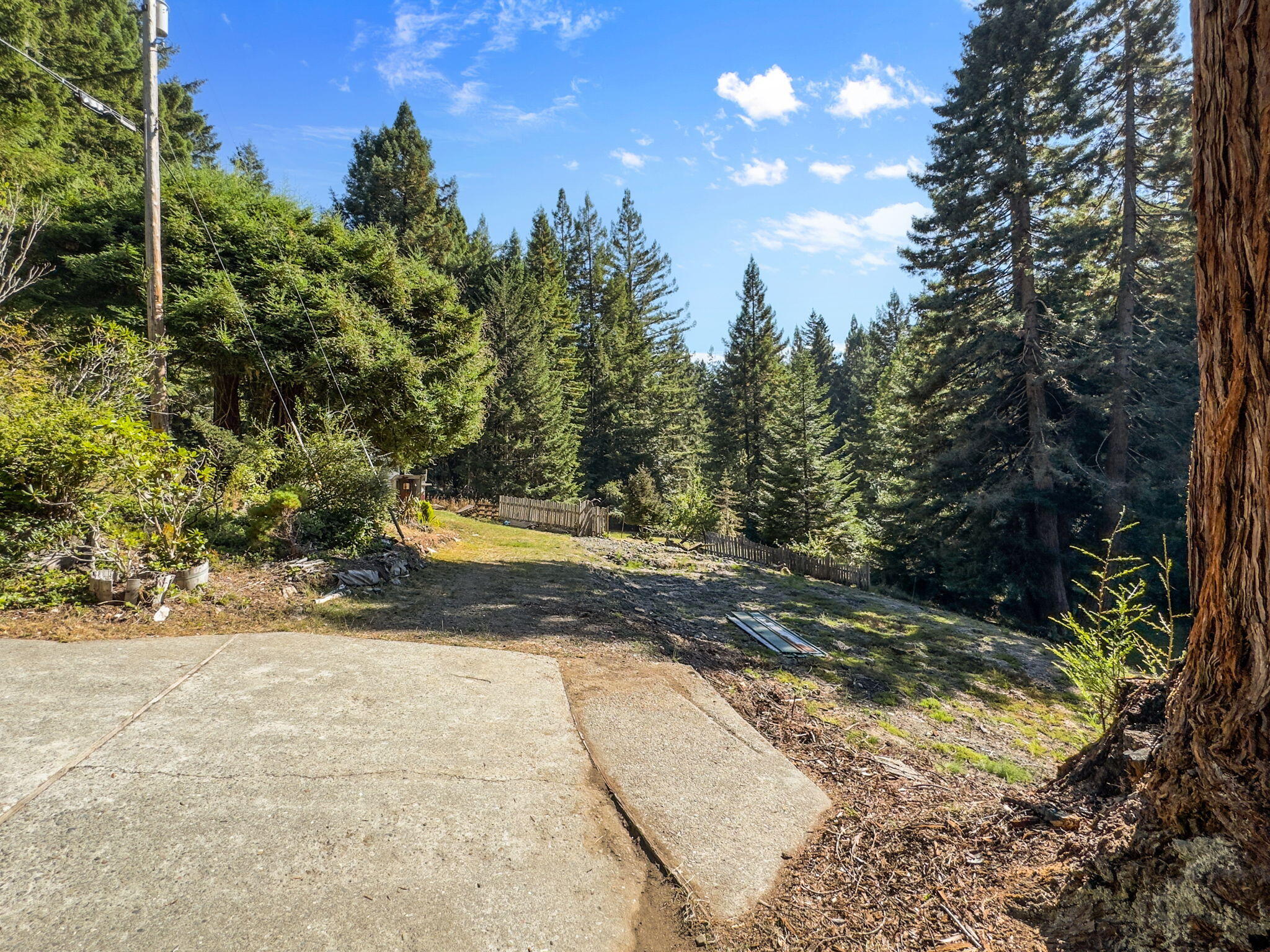 7097 Fickle Hill Road Arcata, CA 95521 - Photo 25 of 43