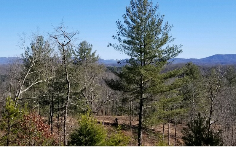 2 Hidden Acres Blue Ridge Blue Ridge, GA 30513 - Photo 4 of 4 a view of mountain view