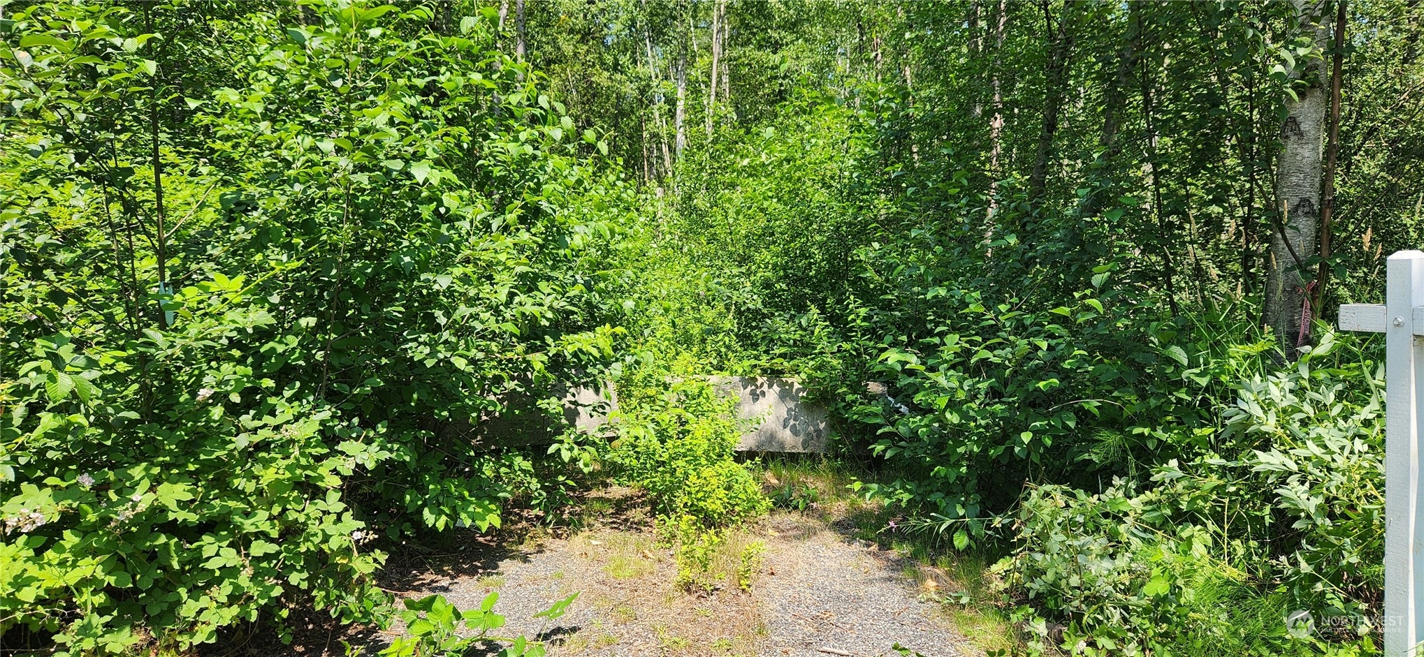 3218 Birch Bay Lynden Road Custer, WA 98240 - Photo 1 of 11 a backyard of a house with lots of green space