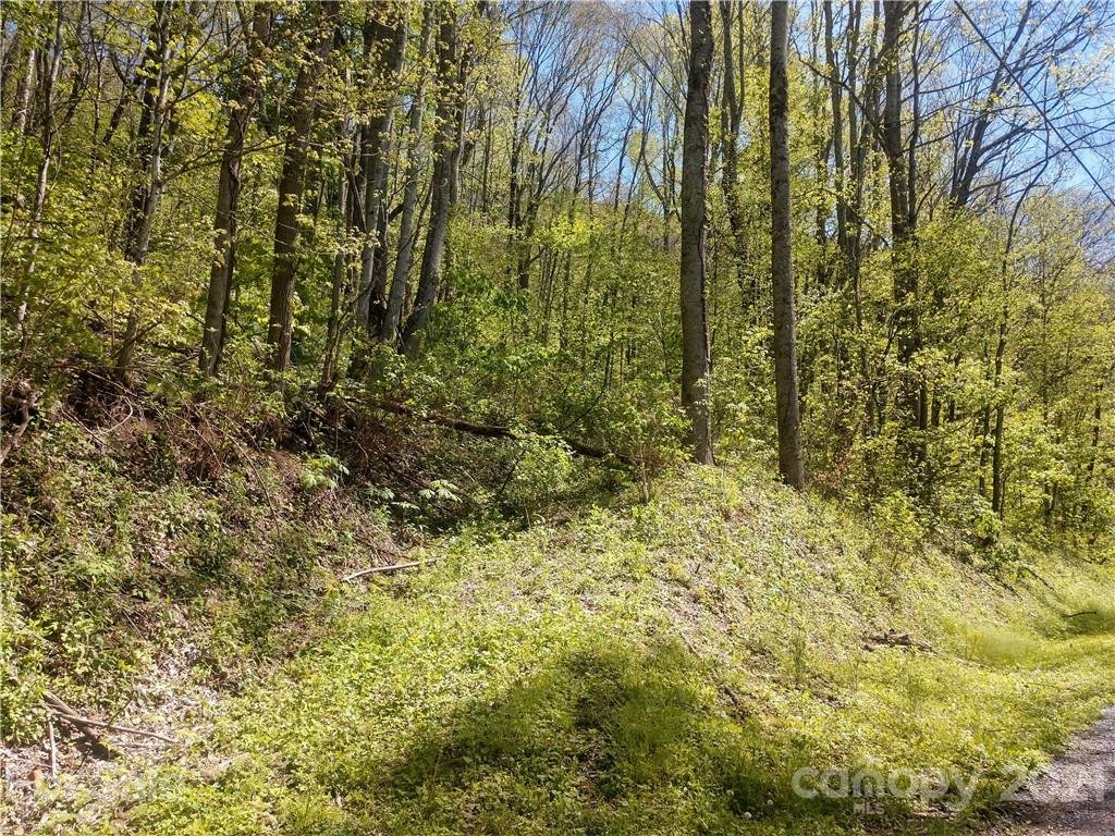 0 Old Country Road, Unit 326 Waynesville, NC 28786 - Photo 1 of 8 Gallery Image 1