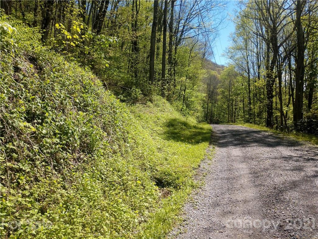 0 Old Country Road, Unit 326 Waynesville, NC 28786 - Photo 2 of 8 Gallery Image 2