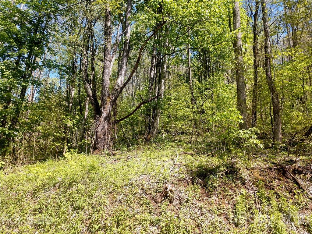 0 Old Country Road, Unit 326 Waynesville, NC 28786 - Photo 3 of 8 Gallery Image 3