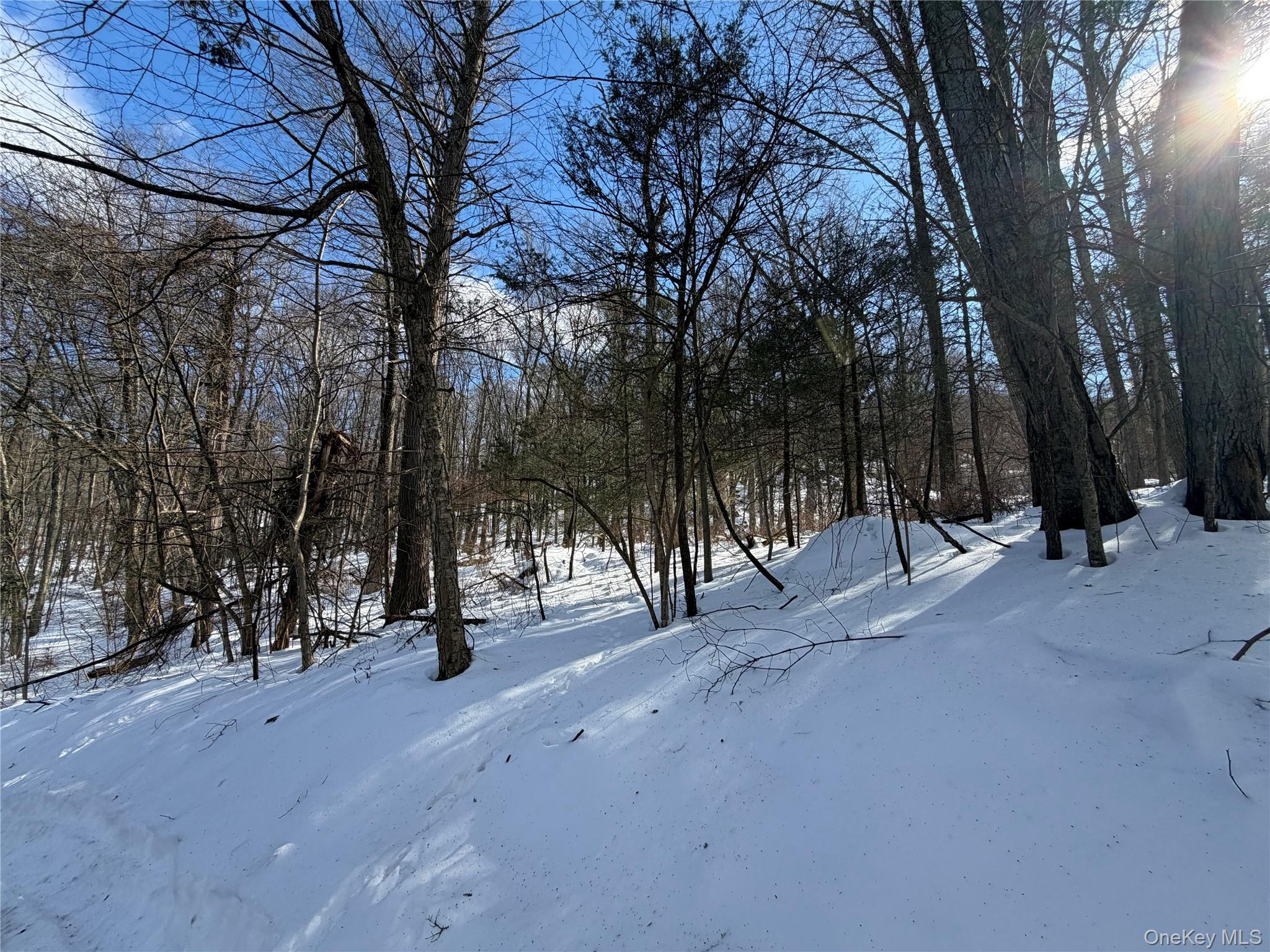 Saw Mill Road Putnam Valley, NY 10579 - Photo 3 of 4