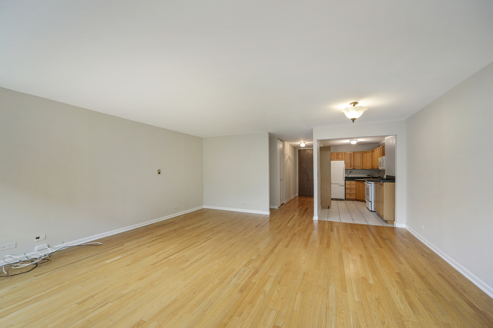 720 West Gordon Terrace, Unit 3L Chicago, IL 60613 - Photo 3 of 8