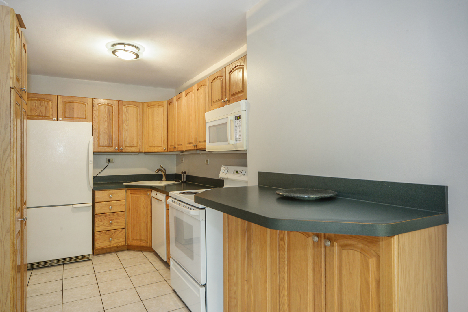 720 West Gordon Terrace, Unit 3L Chicago, IL 60613 - Photo 4 of 8