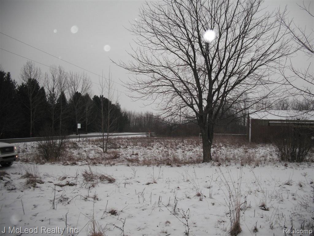 6568 Mertz Road Mayville, MI 48744 - Photo 9 of 9 Mertz 6568 016.JPG
