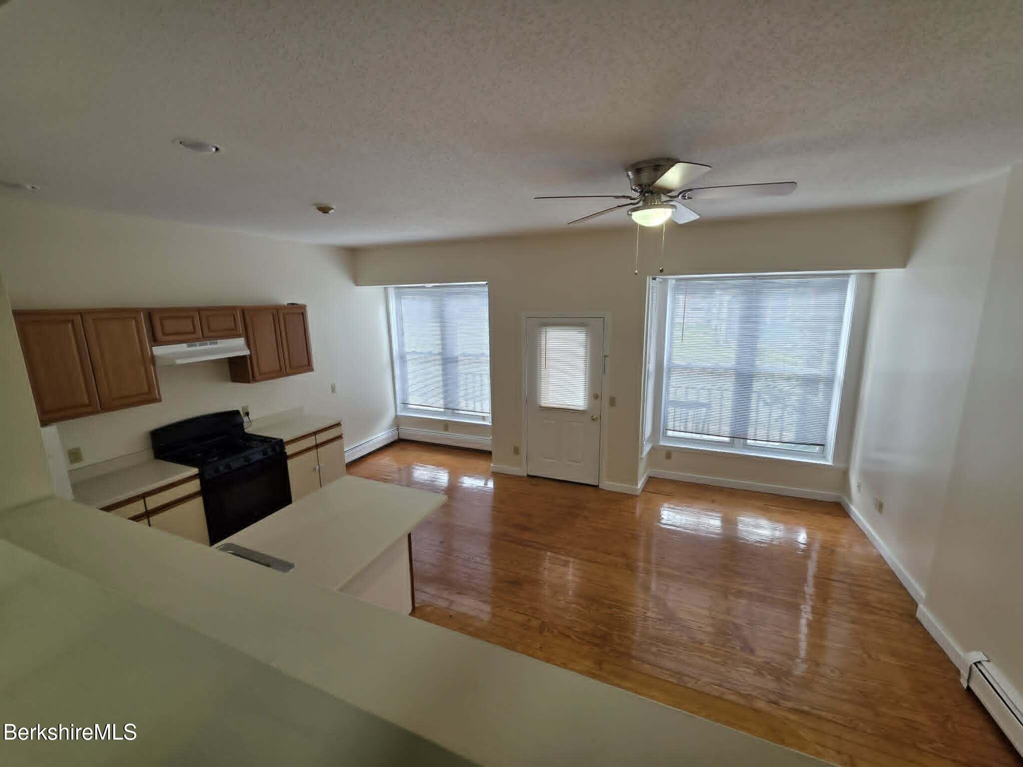 19 Pleasant Street, Unit 1A Adams, MA 01220 - Photo 3 of 13 Loft View to Living Area