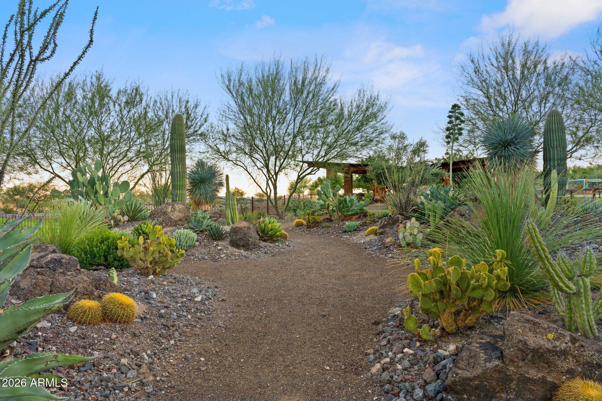4320 Buffalo Ridge Wickenburg, AZ 85390 - Photo 55 of 57 a view of a backyard with plants and tree