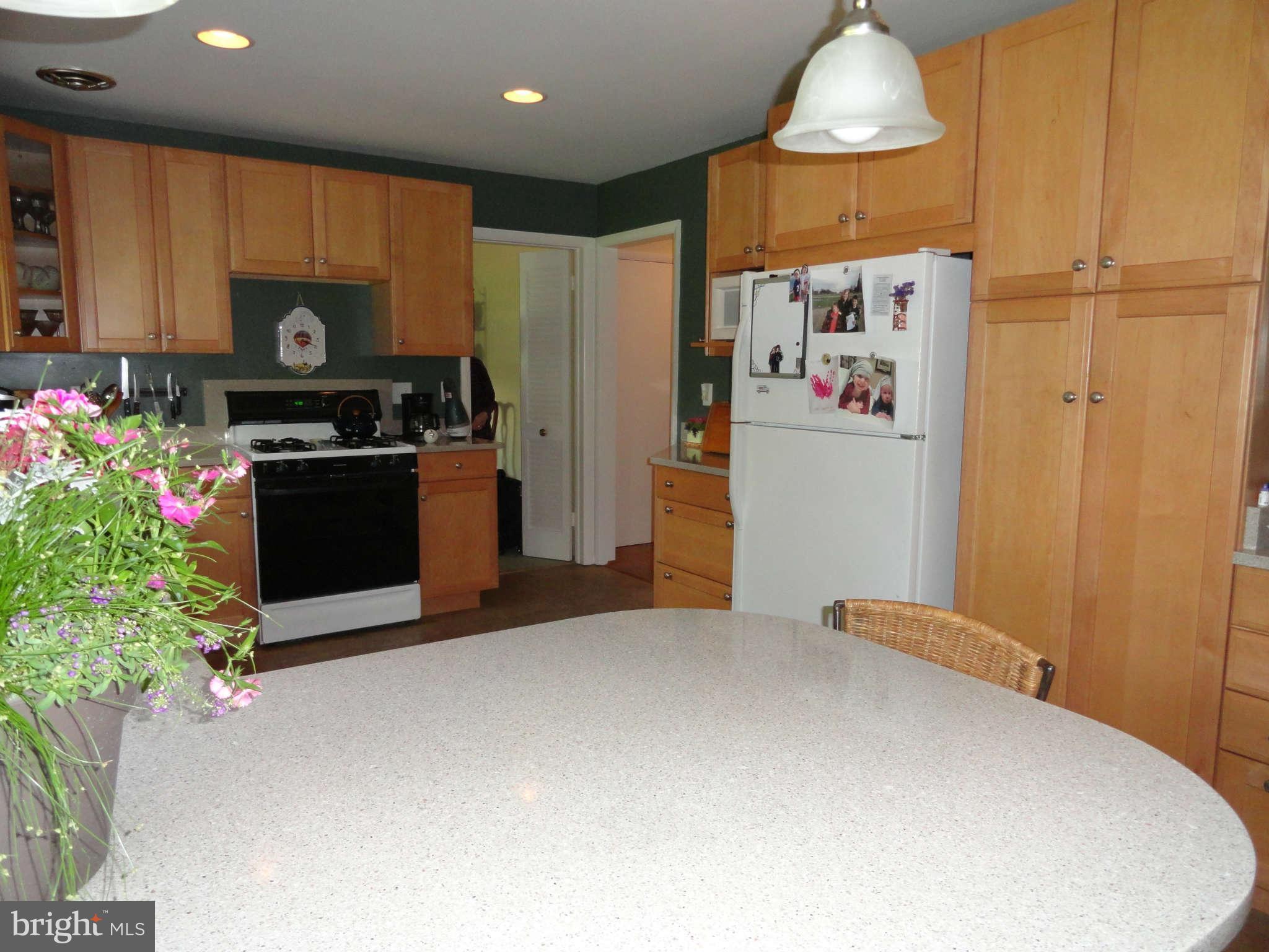 3414 Birch Hollow Road Baltimore, MD 21208 - Photo 10 of 30 Kitchen 4