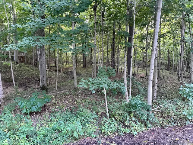 $825,000 | 4651 Winterstill, Zionsville, IN 46077