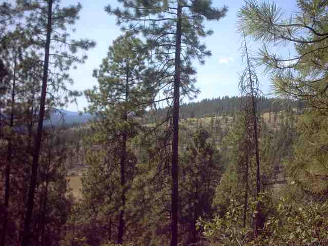 Nhn Corkscrew Canyon Road Tumtum, WA 99034 - Photo 1 of 9 Gallery Image 1