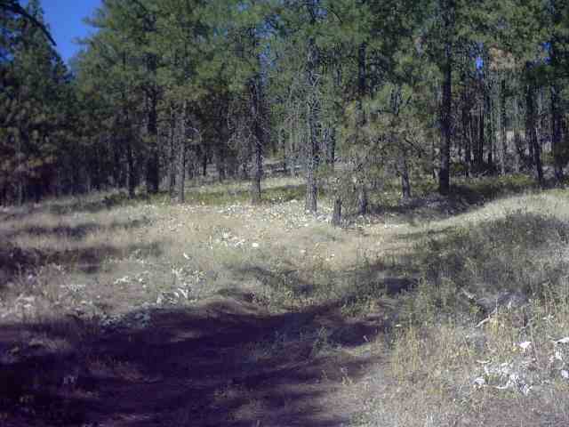 Nhn Corkscrew Canyon Road Tumtum, WA 99034 - Photo 2 of 9 Gallery Image 2