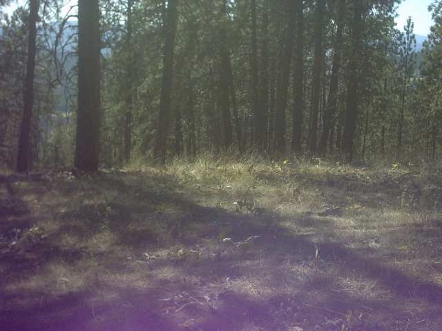 Nhn Corkscrew Canyon Road Tumtum, WA 99034 - Photo 3 of 9 Gallery Image 3