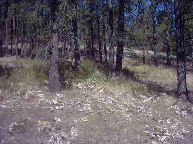 Nhn Corkscrew Canyon Road Tumtum, WA 99034 - Photo 4 of 9 Gallery Image 4