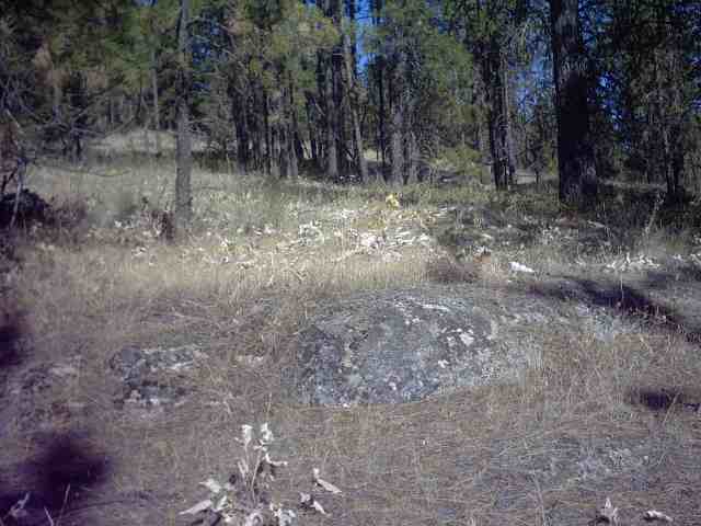Nhn Corkscrew Canyon Road Tumtum, WA 99034 - Photo 6 of 9 Gallery Image 6