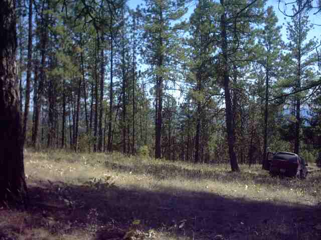 Nhn Corkscrew Canyon Road Tumtum, WA 99034 - Photo 7 of 9 Gallery Image 7