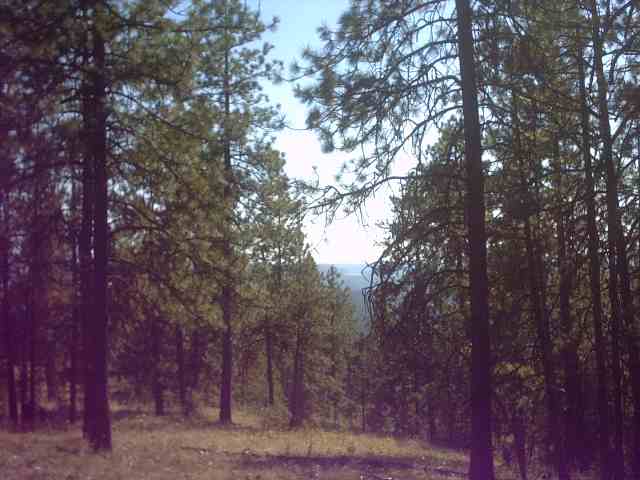 Nhn Corkscrew Canyon Road Tumtum, WA 99034 - Photo 8 of 9 Gallery Image 8