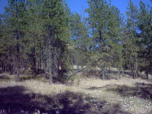 Nhn Corkscrew Canyon Road Tumtum, WA 99034 - Photo 9 of 9 Gallery Image 9