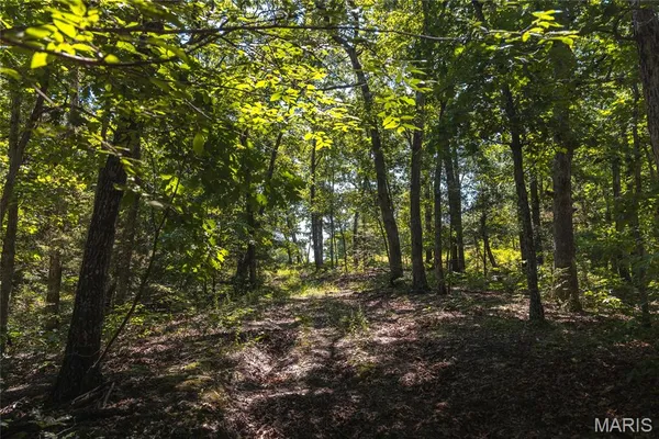 $250,000 | 2654 Stronghoener Road, Owensville, MO 65066