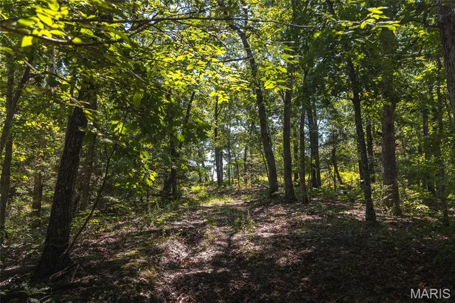 $250,000 | 2654 Stronghoener Road, Owensville, MO 65066