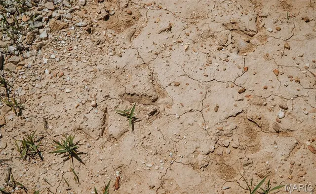 $250,000 | 2654 Stronghoener Road, Owensville, MO 65066